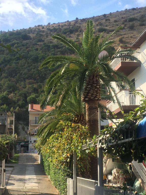 Guest House Bajceta Χέρτσεγκ Νόβι Εξωτερικό φωτογραφία